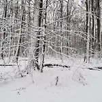 Im Westerwald 아파트 Norken