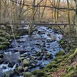 Im Westerwald 아파트 *
