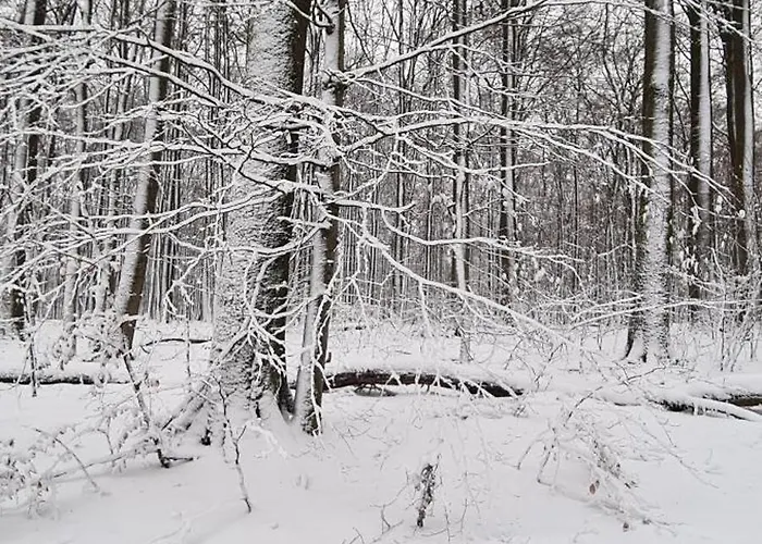 Im Westerwald 公寓 Norken