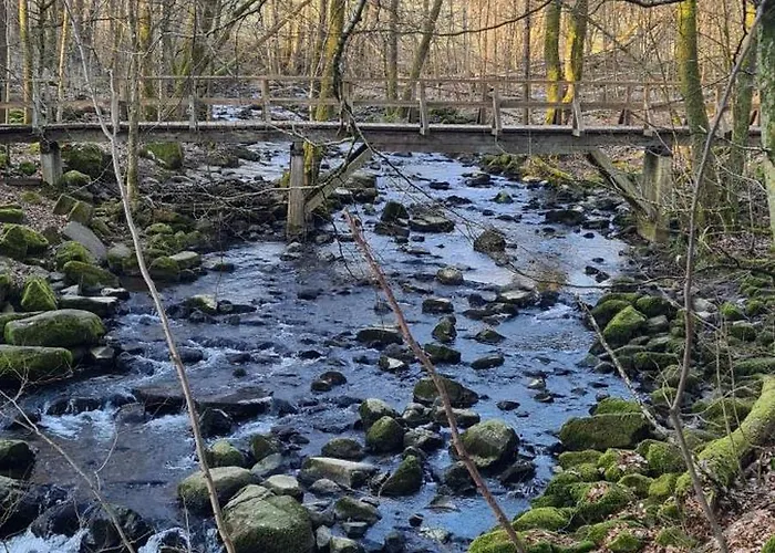 Im Westerwald 公寓 *